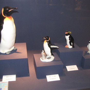 ノベルティミュージアム企画展示 「海辺の生き物」
